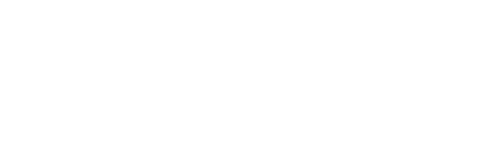 Umbraco Platinum Partner