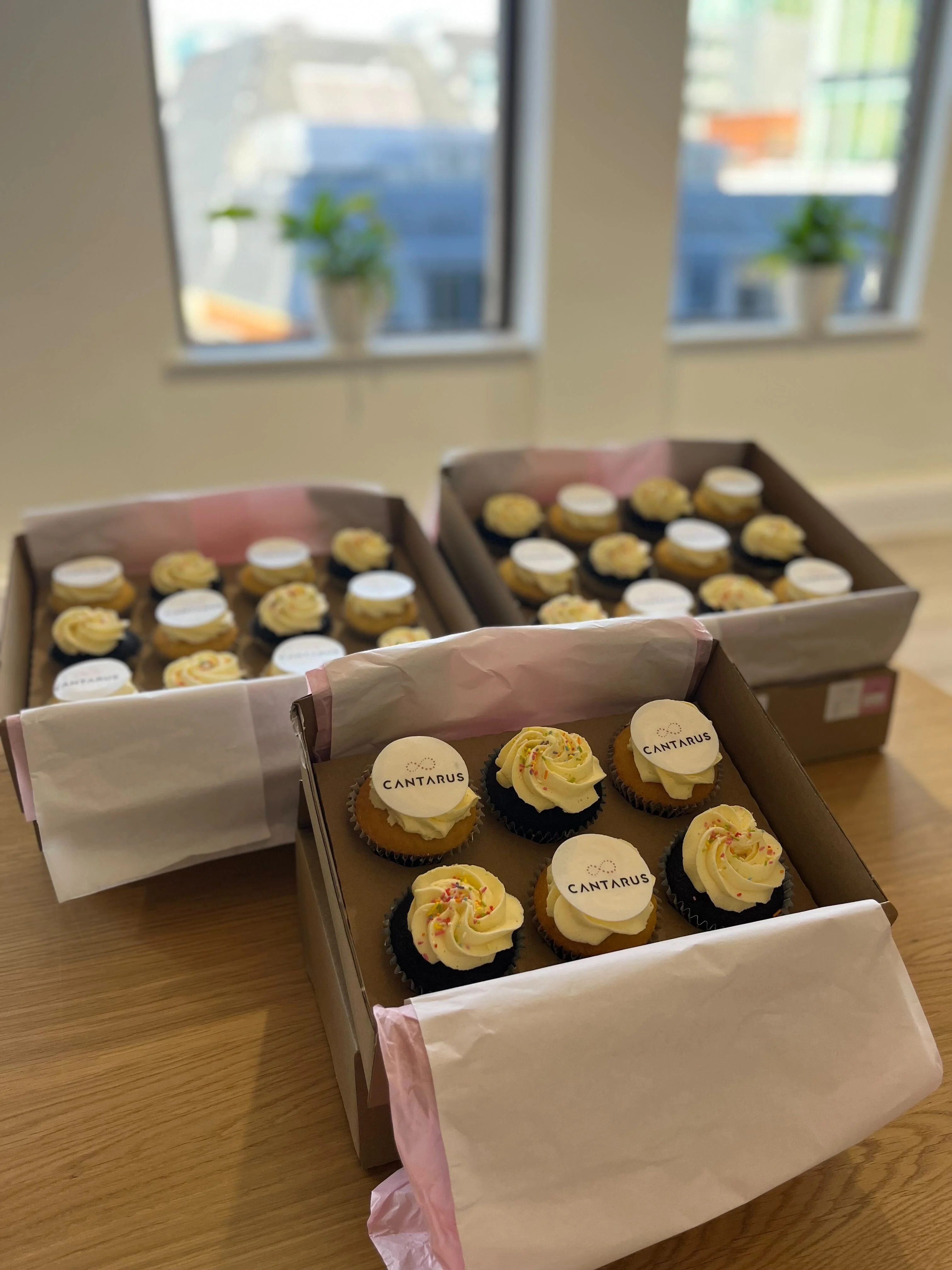Birthday cupcakes