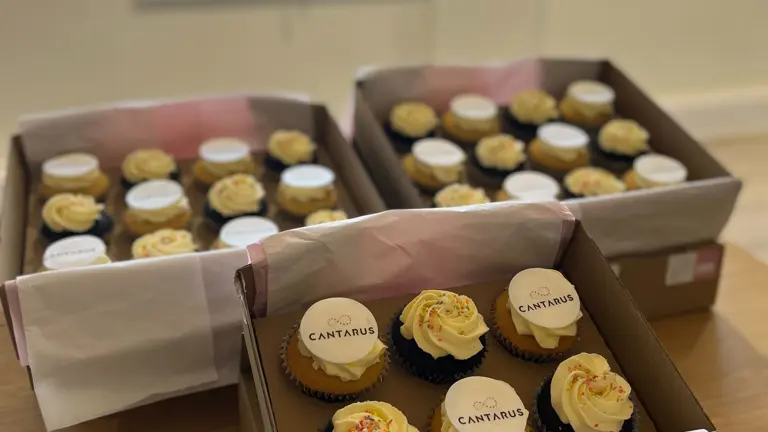 Birthday cupcakes