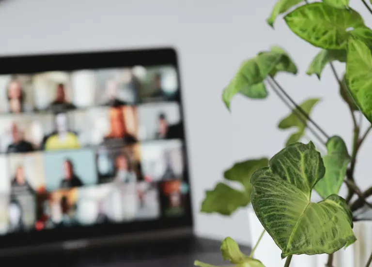 Laptop screen and plant