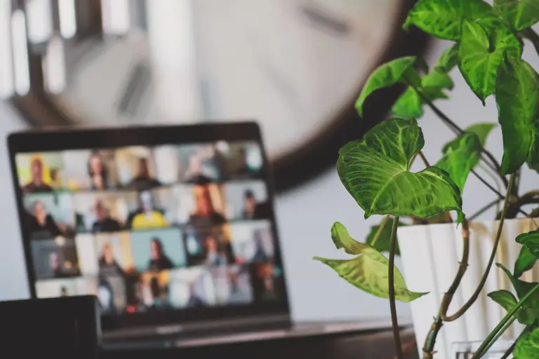 Laptop screen and plant