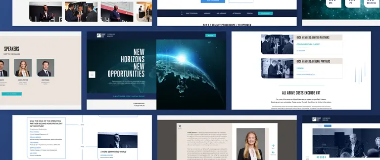 Selection of pages from the BVCA summit site