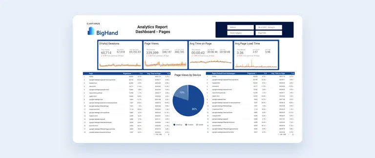 sample bighand analytics report page