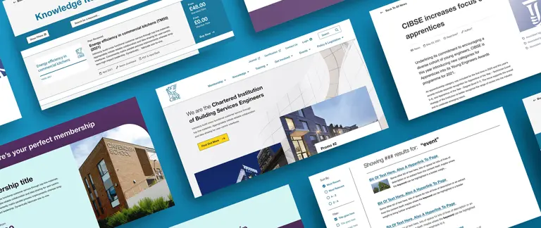 selection of pages from the CIBSE website