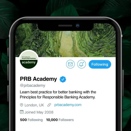 PRB academy branding in place on social media